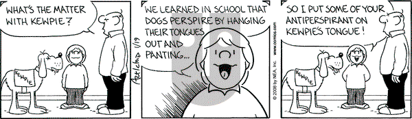 The Born Loser on Saturday January 19, 2008 Comic Strip