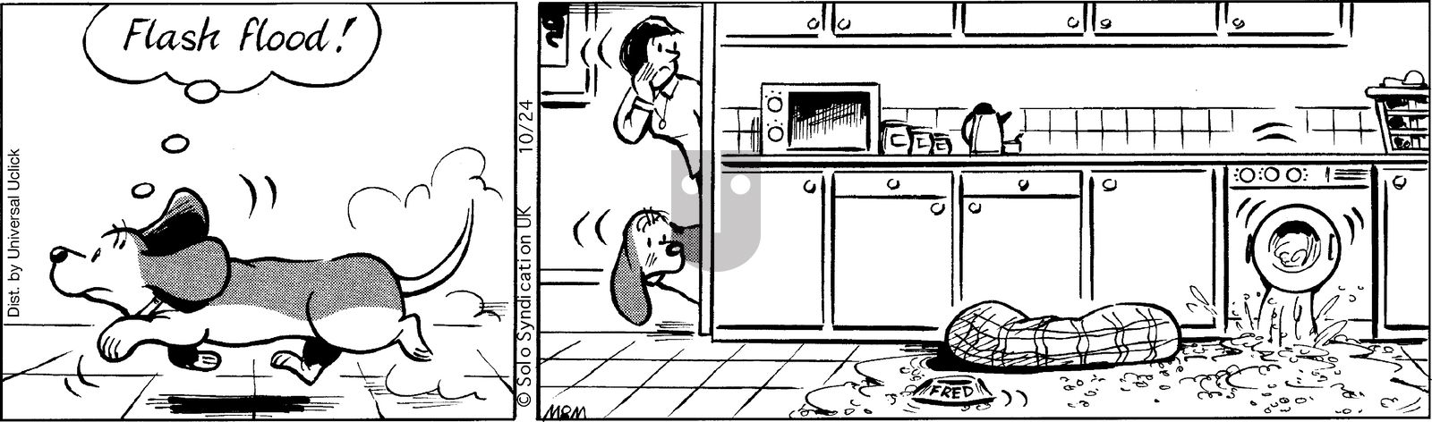 Fred Basset on Friday October 24, 2014 Comic Strip