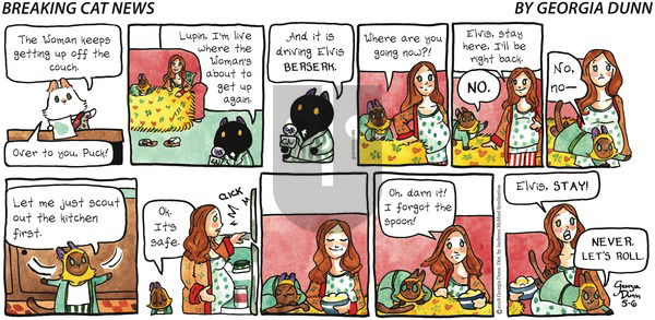 Breaking Cat News on Sunday May 6, 2018 Comic Strip