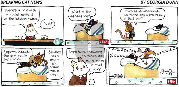 Breaking Cat News on Sunday May 27, 2018 Comic Strip