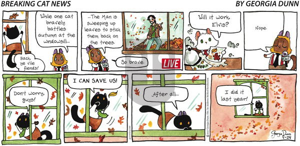 Breaking Cat News on Sunday September 24, 2017 Comic Strip