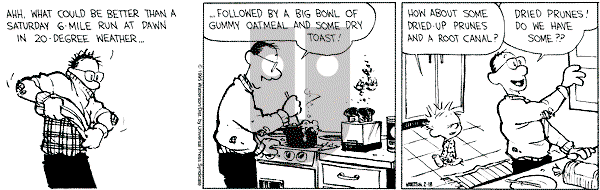 Calvin and Hobbes - Saturday February 18, 1995 Comic Strip