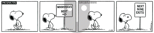Peanuts on Sunday June 24, 1990 Comic Strip