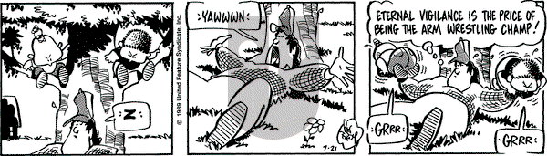 Rose is Rose on Friday July 21, 1989 Comic Strip