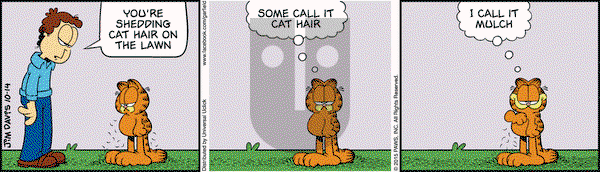 Garfield on Wednesday October 14, 2015 Comic Strip