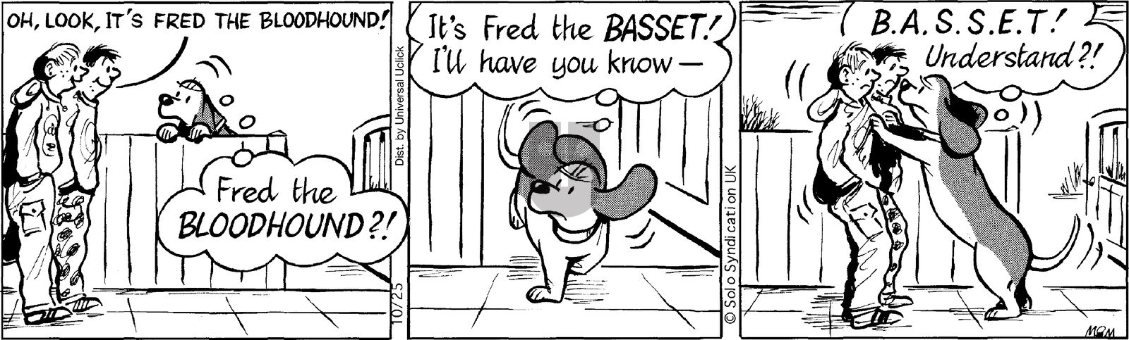 Fred Basset on Saturday October 25, 2014 Comic Strip