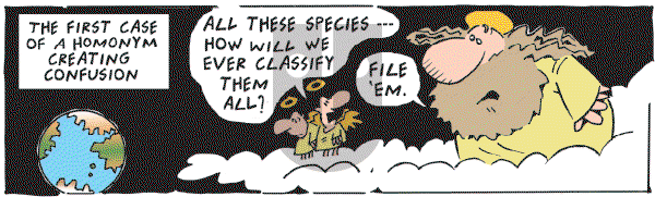 Frank and Ernest - Saturday July 14, 2007 Comic Strip