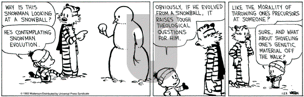 Calvin and Hobbes on Friday January 22, 1993 Comic Strip