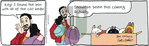 Breaking Cat News on Friday June 2, 2017 Comic Strip