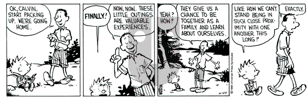 Calvin and Hobbes on Wednesday June 29, 1988 Comic Strip