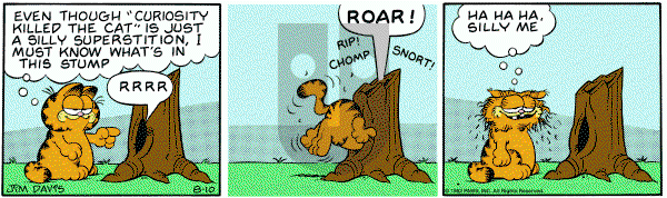 Garfield on Tuesday August 10, 1982 Comic Strip