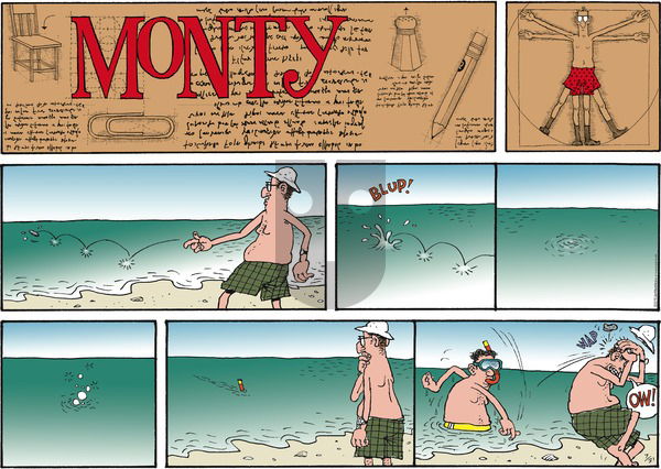 Monty on Sunday July 31, 2016 Comic Strip