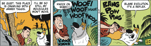Rip Haywire on Saturday February 7, 2009 Comic Strip