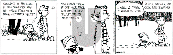 Calvin and Hobbes on Friday February 21, 2025 Comic Strip