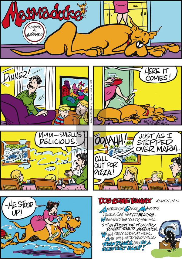 Marmaduke on Sunday November 8, 2015 Comic Strip