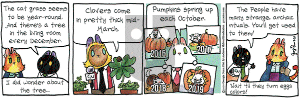 Breaking Cat News on Thursday February 20, 2020 Comic Strip