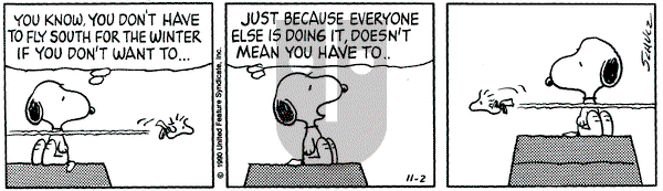 Peanuts on Friday November 2, 1990 Comic Strip