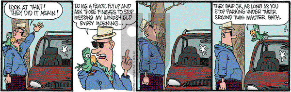 Monty on Monday March 29, 2010 Comic Strip