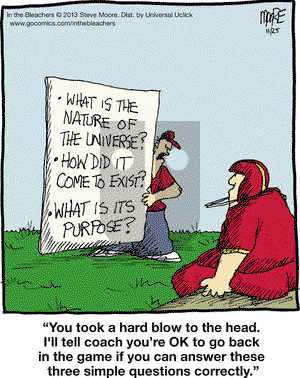 In the Bleachers on Monday November 25, 2013 Comic Strip