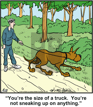 Marmaduke on Wednesday September 15, 2021 Comic Strip