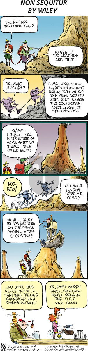 Non Sequitur on Sunday June 5, 2016 Comic Strip