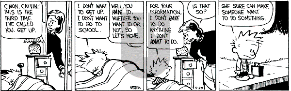Calvin and Hobbes - Monday March 20, 1989 Comic Strip
