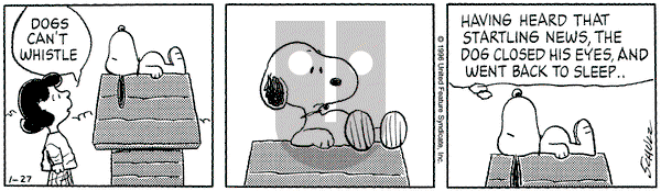 Peanuts on Saturday January 27, 1996 Comic Strip