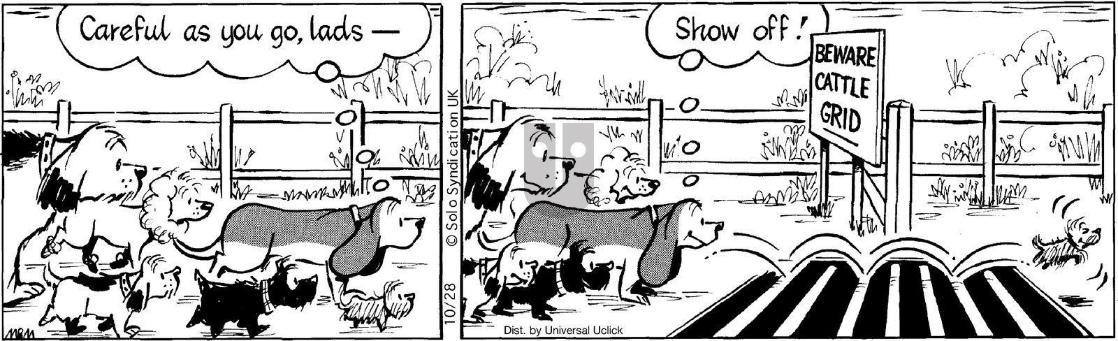 Fred Basset on Tuesday October 28, 2014 Comic Strip