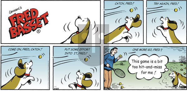 Fred Basset on Sunday November 1, 2020 Comic Strip