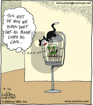 Kit 'N' Carlyle on Tuesday August 25, 2009 Comic Strip
