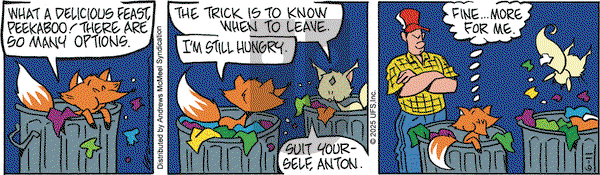 Rose is Rose on Wednesday June 11, 2025 Comic Strip