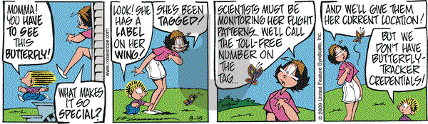 Rose is Rose on Wednesday August 19, 2009 Comic Strip