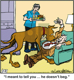 Marmaduke on Thursday August 29, 2013 Comic Strip
