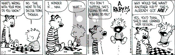 Calvin and Hobbes - Friday November 7, 1986 Comic Strip