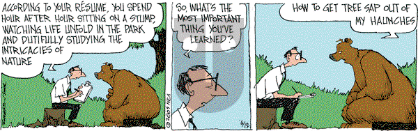 The Grizzwells on Friday June 12, 2009 Comic Strip