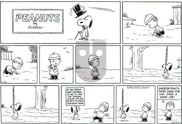 Peanuts - Sunday January 26, 1964 Comic Strip