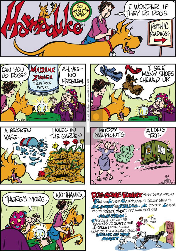 Marmaduke on Sunday February 28, 2016 Comic Strip