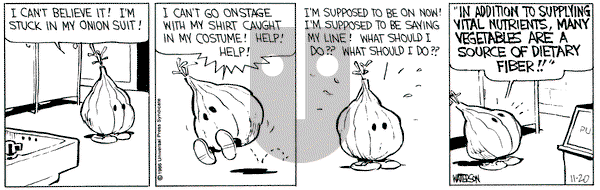 Calvin and Hobbes on Thursday November 20, 1986 Comic Strip