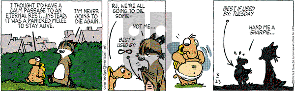 Over the Hedge on Saturday March 23, 2013 Comic Strip