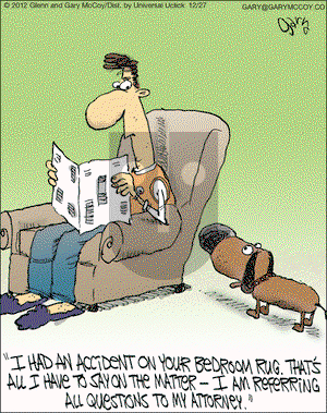 The Flying McCoys on Thursday December 27, 2012 Comic Strip