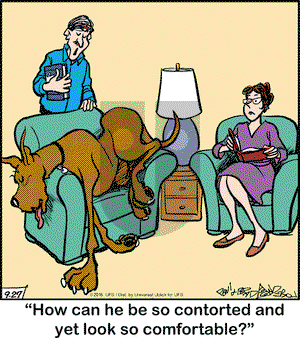 Marmaduke on Tuesday September 27, 2016 Comic Strip