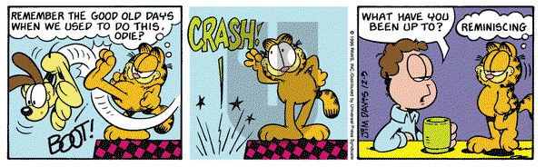 Garfield on Tuesday December 3, 1996 Comic Strip