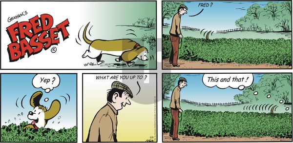 Fred Basset on Sunday June 9, 2019 Comic Strip