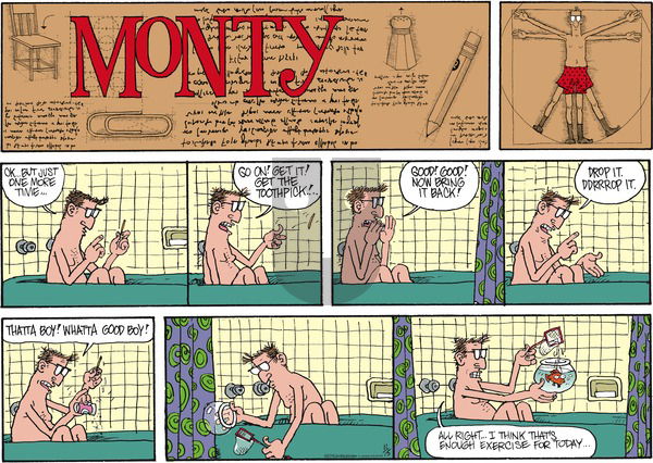 Monty on Sunday November 15, 2015 Comic Strip