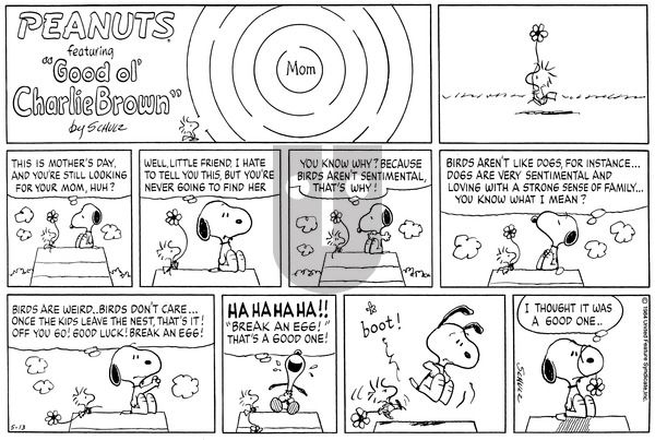 Peanuts on Sunday May 13, 1984 Comic Strip