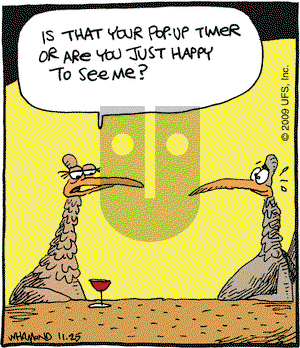 Reality Check on Wednesday November 25, 2009 Comic Strip