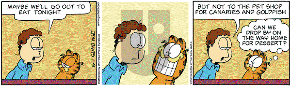 Garfield on Friday January 9, 2004 Comic Strip
