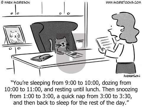 Andertoons on Sunday June 14, 2015 Comic Strip