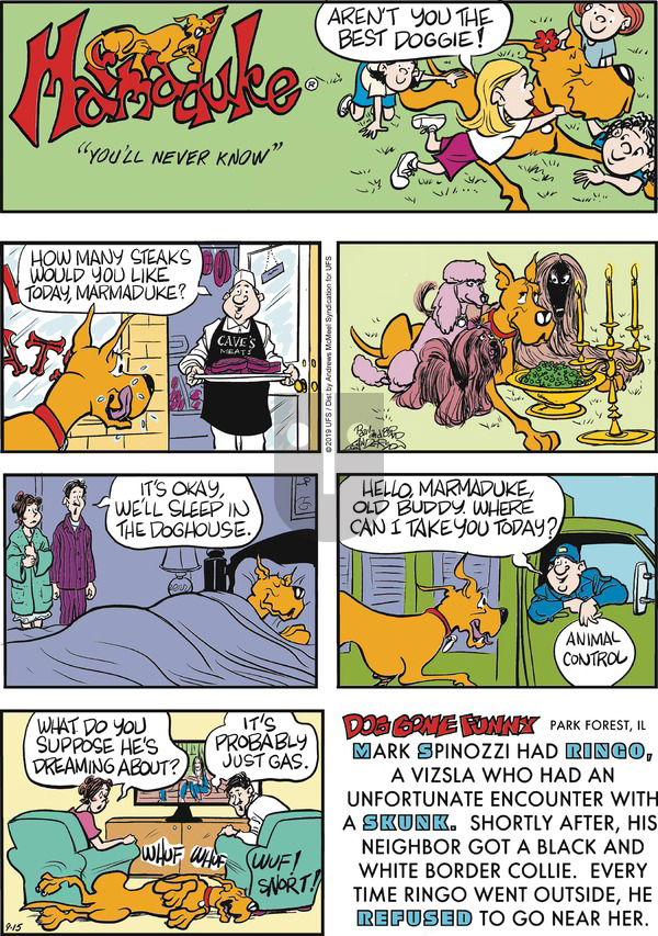 Marmaduke on Sunday September 15, 2019 Comic Strip