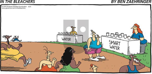 In the Bleachers on Sunday August 25, 2019 Comic Strip